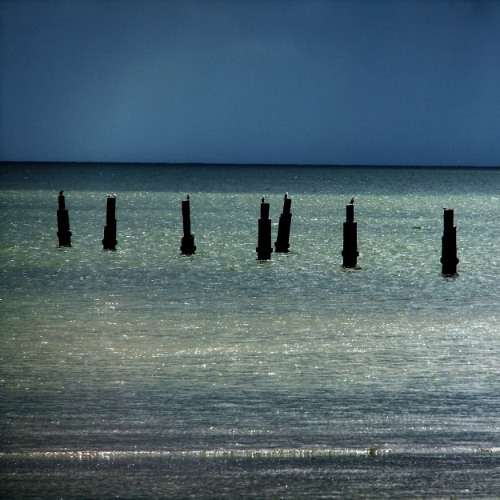Permanent Tide