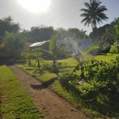 Never Thought I Would