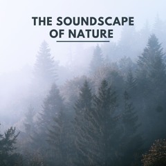 Nature Soundscapes, Pt. 30