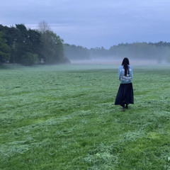 Крізь туман.mp3