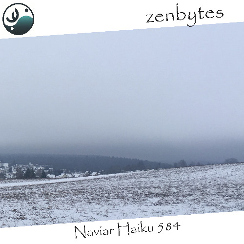 snow fluttering down - Naviarhaiku584
