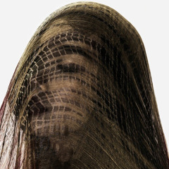 Nửa hồn thương đau