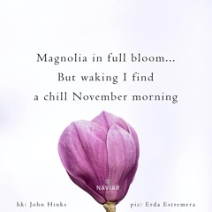 halF wakinG [naviarhaiku360]