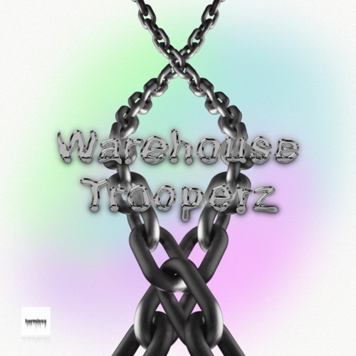 WAREHOUSE TROOPERZ V/A [snippets]