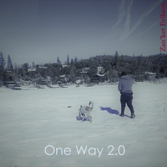 One Way 2.0