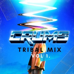 CRUMS TRIBAL MIX VOL 1.WAV