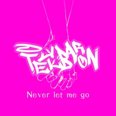 TekkBaron - NEVER LET ME GO [One Pattern]