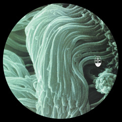 Hypnotic techno