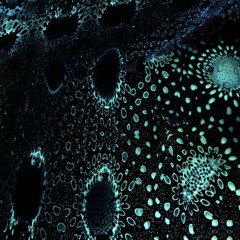 Trippy Everything