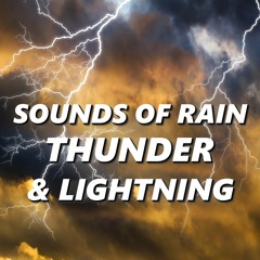 Deep Sleep Rain & Storm Sounds