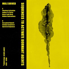 PREMIERE: Mule Driver - Encrypted Signals (Confused Machines)