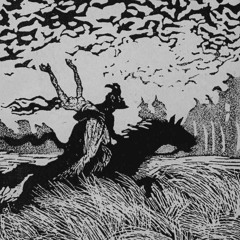The Mystical Night Wanderer