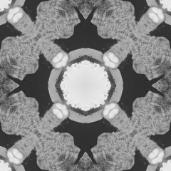 La Vaca Mariposa (Re-constructed)