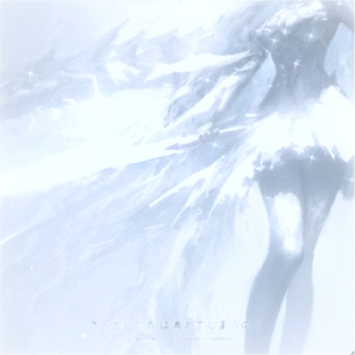 crashed the function