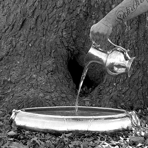 PUSHING THE PIT THROUGH THE FLESH