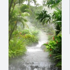 NOTI$ - Family Busines