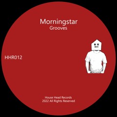 01. Morningstar - Grooves