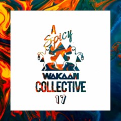 A Spicy Wakaan Collective 17