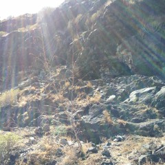 Not here, not now - nnnj remix