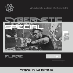 Cybernetic Special __16 by Flade