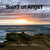 Artwork for INTO THE VOID