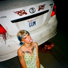 gum v6.4