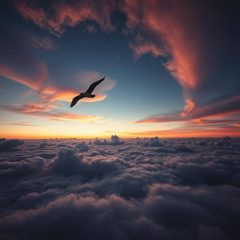 On the Wings of a Bird