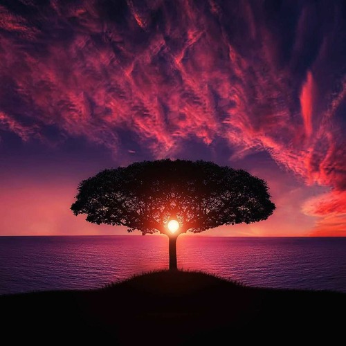 Awakening