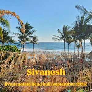 live at POTATO HEAD bali (September 2023)