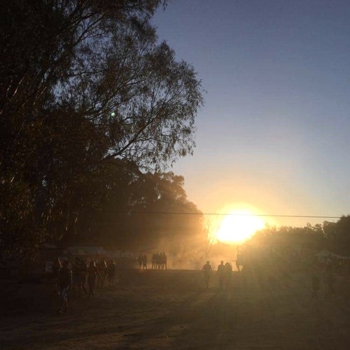 a big, thumpin mix