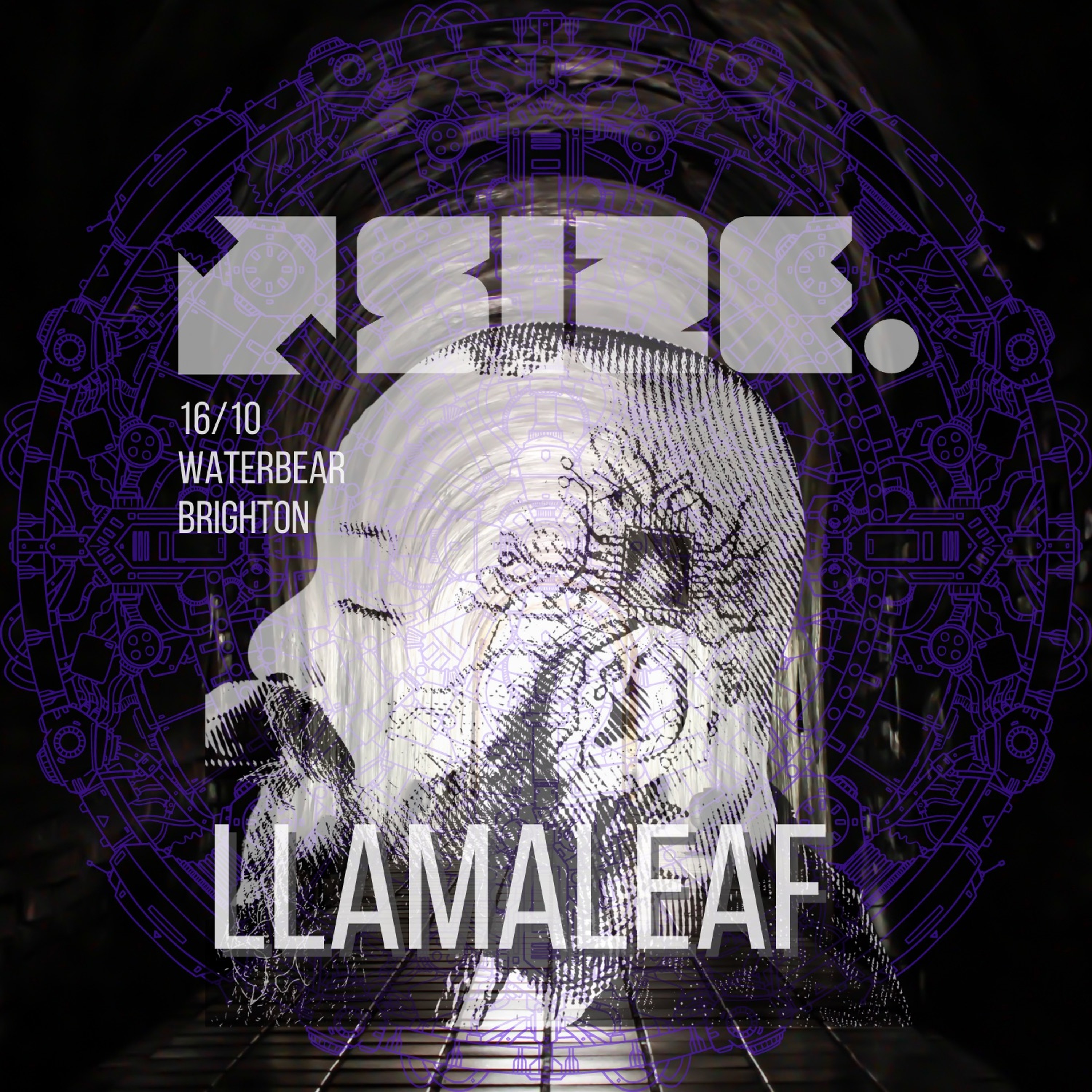 LlamaLeaf