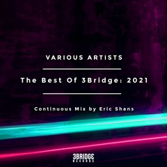 The Best of 3Bridge Records 2021 - Continuous Mix by Eric Shans