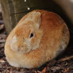 Les Gorden - Flirting With June || Sped Up / Nightcore !!