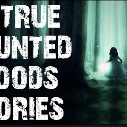 Mortis Media 10/28/21 - Haunted Woods Scary Stories
