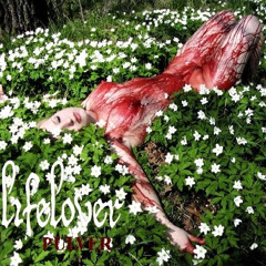 Lifelover-Nackskott(Guitar cover,no vocals)