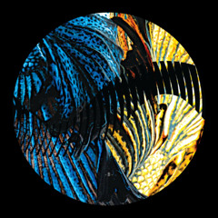 PREMIERE: Duc In Altum - Midnight Sun (Priku ft. Dinu Remix) [RHZ005]