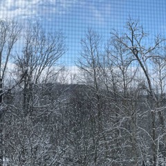 defrost (metlast x luffy)