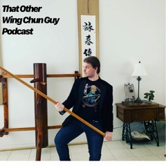 That other Wing Chun Guy Podcast episode 3: Dit Da Jau
