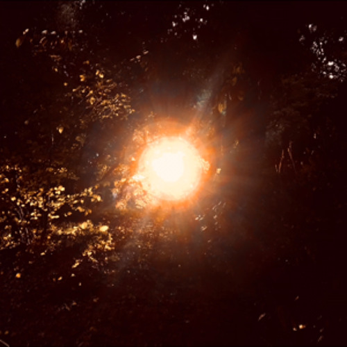 Psilocybin Journey  11/4/2023