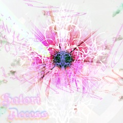 ACCESS GRANTED (INTRO)