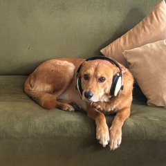 Warren Tasty - Madre Heal