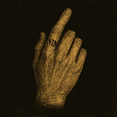 Ringfinger - Nine Inch Nails (MRWILSONDJ remix)