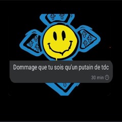 Mix Pumping Tribe - "dommage que tu sois qu'un putain de tdc"