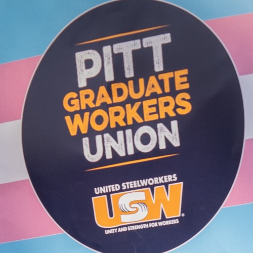 Pitt Protest Sounds