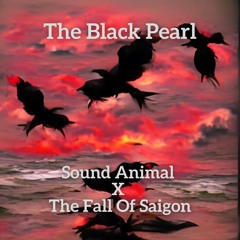 The Black Pearl (Sound Animal X The Fall Of Saigon)
