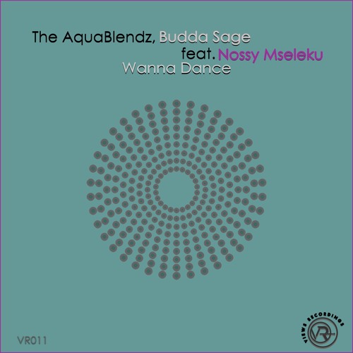 The AquaBlendz x Budda Sage x Nossy Mseleku - Wanna Dance (Dubstrumental Mix)