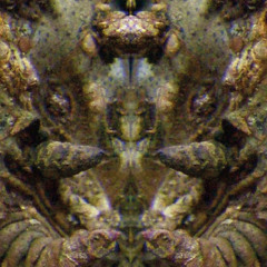 Sinfonie Nr.2 "EGGERT" – Satz Nr.4