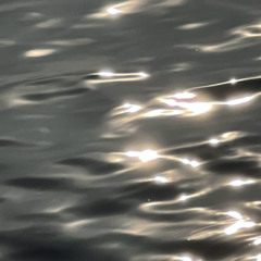 Sound Reasoning: 20th november '25