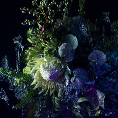 Oceania (Björk Piano Cover)