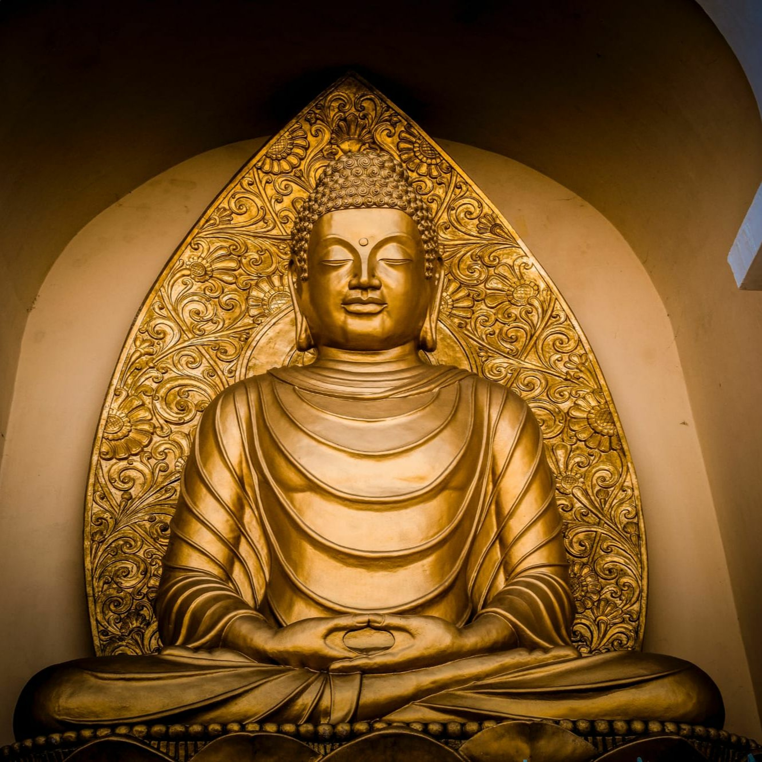 Associazione Kalyanamitta: Meditazione, Mindfulness, Buddhismo